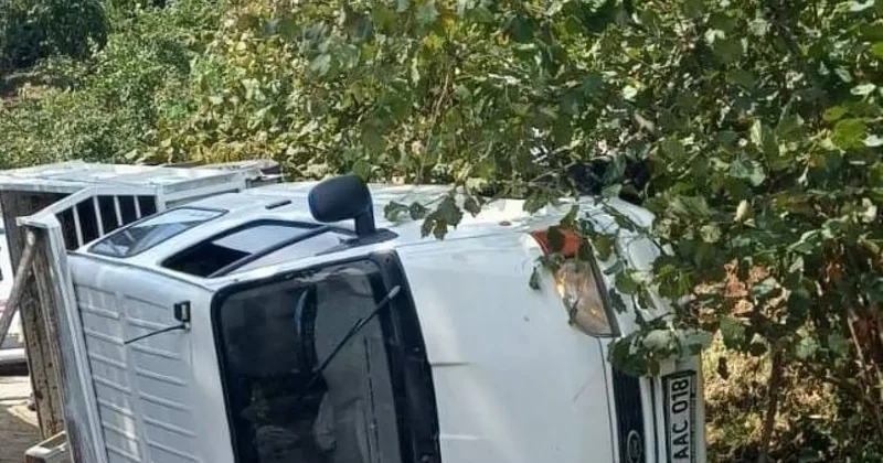 Giresun da fındık işçilerini taşıyan kamyonetin devrildi! Çok sayıda yaralı var