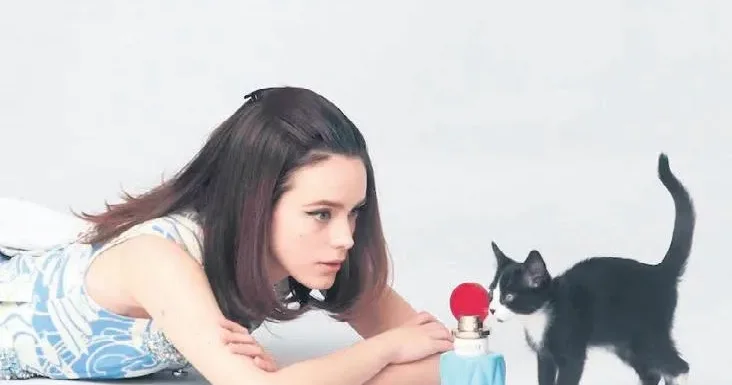 İDİL DEMİREL Kediler reklam yıldızı olursa