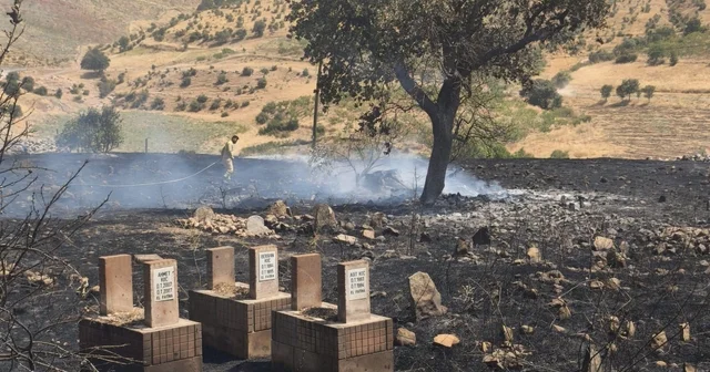 Siirt te 5 ayrı noktada yangın alarmı: 4 bölgede söndürüldü, Çamtaşı nda müdahale sürüyor Siirt Haberleri Habertürk Yerel Haberler