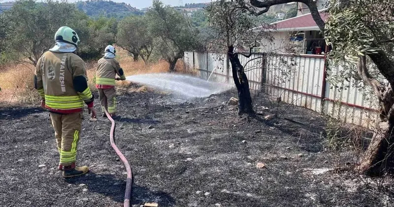 Defne’de zeytinlik alanda yangın
