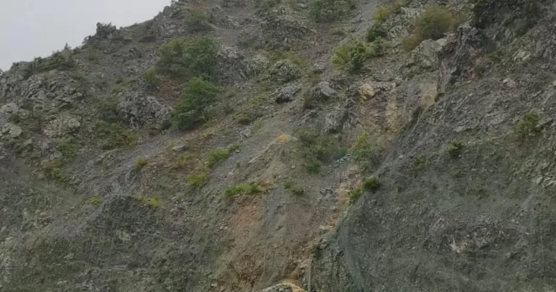 Artvin de sağanak; ev ve iş yerlerini su bastı