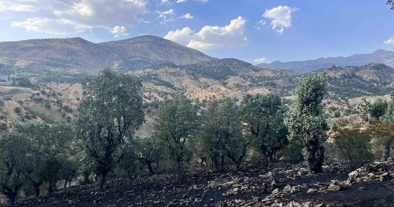 Siirt’te 5 ayrı noktada yangın alarmı