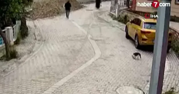 Avcılar da korkunç kaza: Yaşlı kadın 4 metrelik rögara düştü