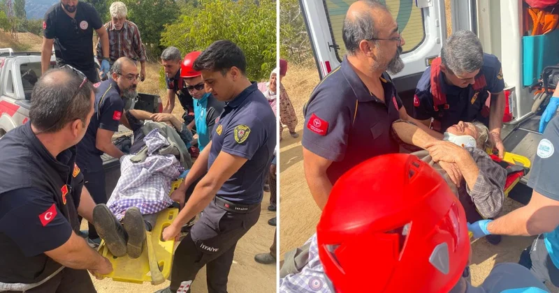 Aydın Nazilli de ceviz toplarken ağaçtan düşen 73 yaşındaki kadın yaralandı