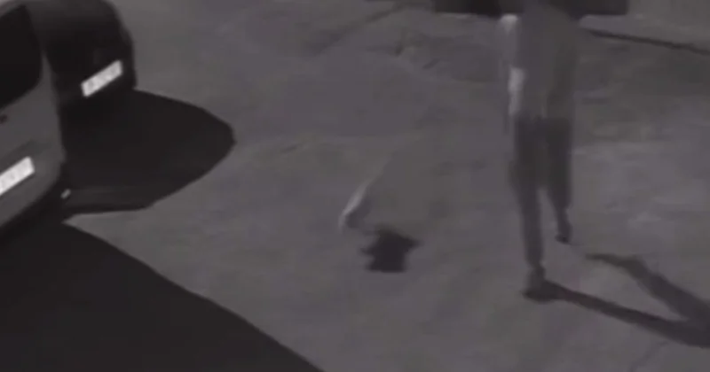 İzmir de köpeğini tekmelen şahıs gözaltına alındı! Vicdanları yaralayan görüntü
