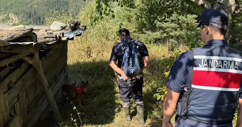 Nigar Bilgin cinayeti aydınlatıldı! Katil, 20 yıldır mağarada tek başına yaşıyormuş