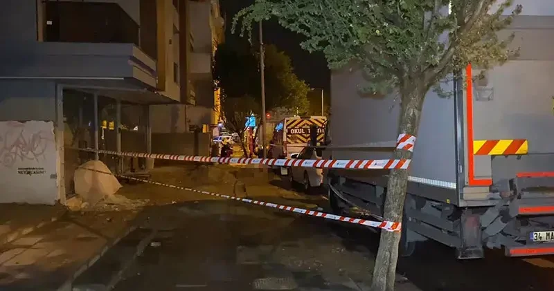 Küçükçekmece de elektrik akımına kapılan köpek öldü, sahibi yaralandı