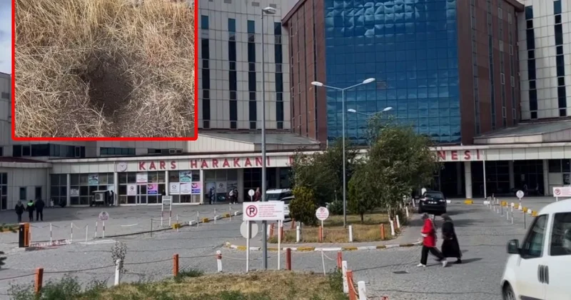 Kars ta bebek vahşeti! Ağzından peçete çıktı, anne ile anneanne tutuklandı