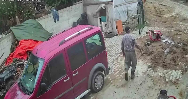 Amasya da öfkeli boğa komşu ahıra daldı! Süt sağım makinesini boynuzuna takıp sürükledi