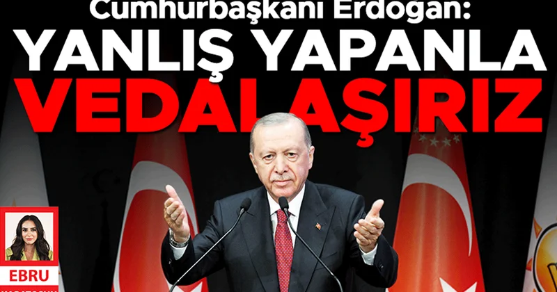 Erdoğan: Devlet Denetleme Kurulu görevde
