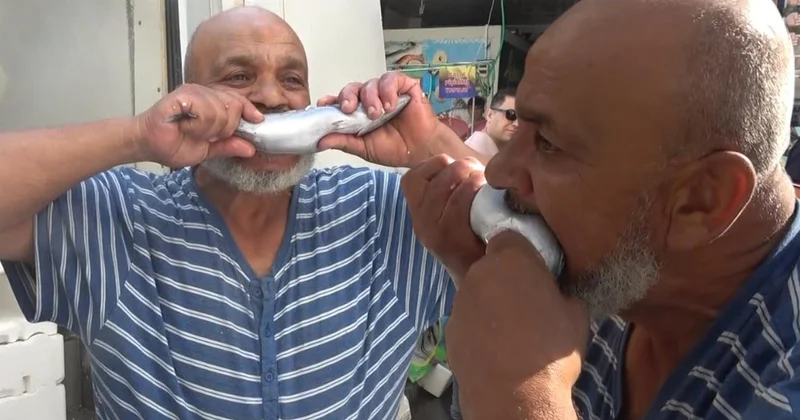Kilis te palamut 100 liraya düştü, balıkçı çiğ çiğ yedi