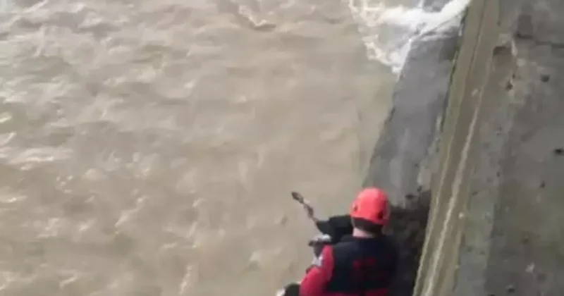 Derede mahsur kalan köpeği itfaiye ekibi kurtardı