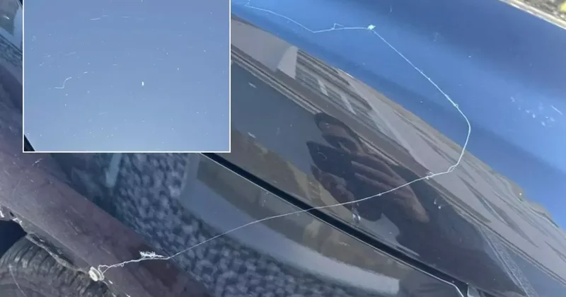 Görüntü Türkiye den! Gökyüzünden örümcek ağı yağdı