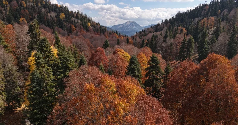 Yer Adana: Sonbaharın güzelliği objektiflere yansıdı
