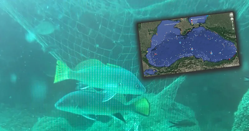 Tüm Karadeniz’i sardı: Sessiz katil binlerce canlıyı yok ediyor!