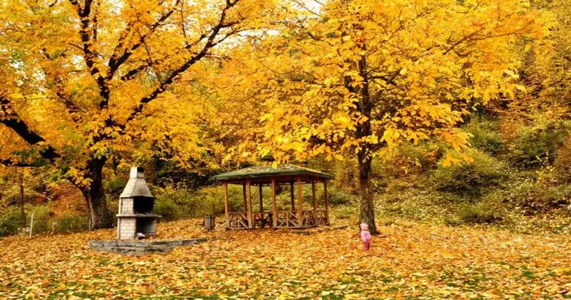 Türkiye nin dört bir yanında sonbahar rotası! İl il belli oldu