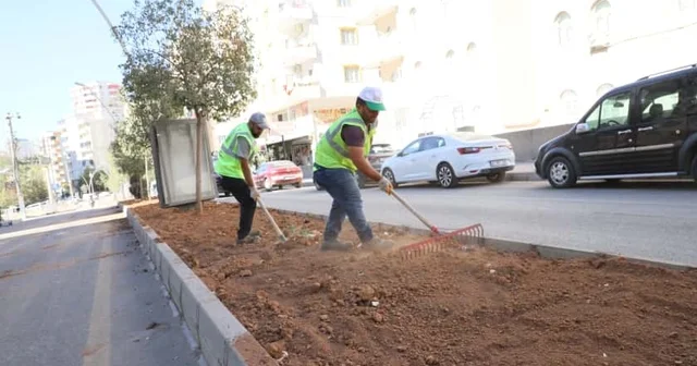 Mardin Artuklu da alt ve üst yapı çalışmaları sürüyor Mardin Haberleri