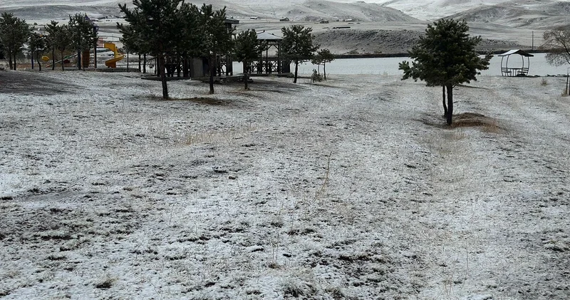 Erzurum da mevsimin ilk karı: İlçeler beyaza büründü