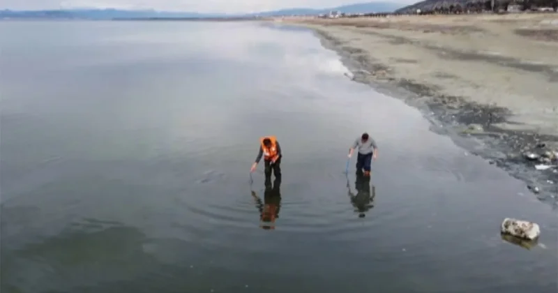 Korkutan uyarı geldi: Her geçen gün küçülüyor... Sözcü Gazetesi