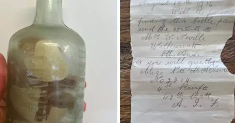 Birinci Dünya Savaşı askerlerinin mektupları 100 yıl sonra Avustralya kıyısında bulundu