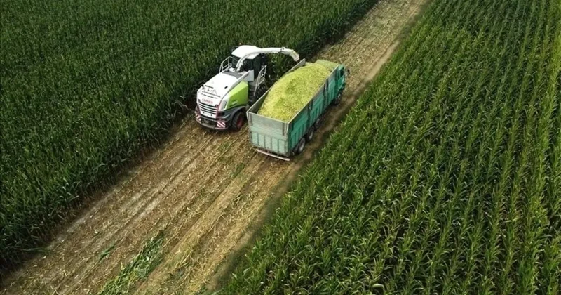 Tarıma yönelik hazine destekli finansmana ilişkin limitler değişti