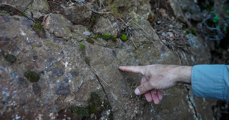 Yeni faylar bulundu! Endişelendiren görüntüler: Yeni deprem uyarısı