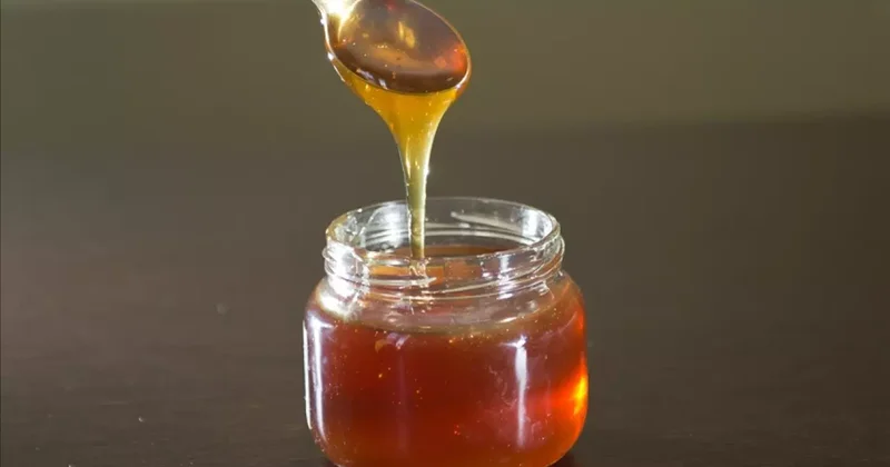 Bal ihracatı 1,7 milyon doları aştı!