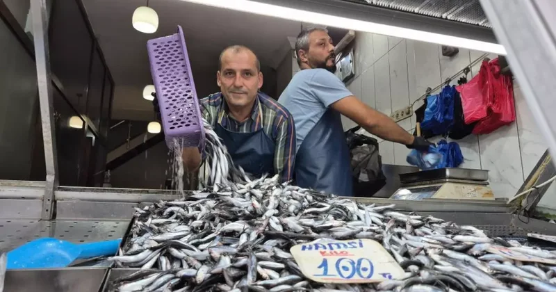 Yaz sıcakları palamudu vurdu, yerini hamsi aldı