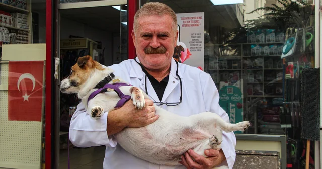 Bilinçsiz ilaç tüketimi hayvanlarınızın canına mal olabilir Adana Haberleri