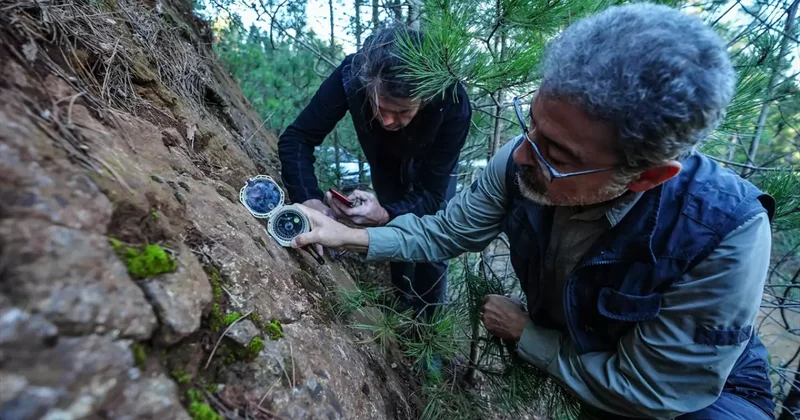 Balıkesir depremlerinin nedeni ortaya çıktı: Haritalarda olmayan fay dirildi