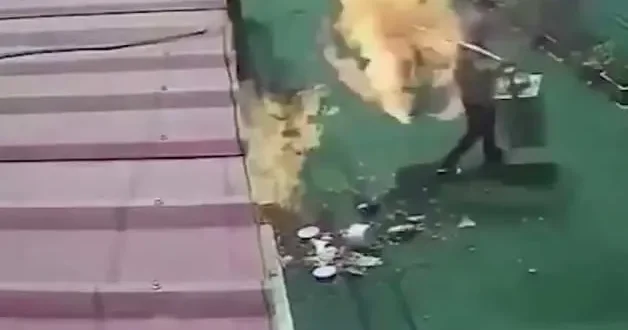 Endonezya da sokak satıcısı az kalsın hayatını kaybediyordu