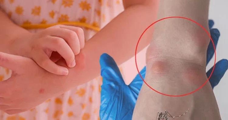 Komşuda vakalar artıyor: Can kaybı 51 oldu... Gizli tehlike Türkiye kapısında