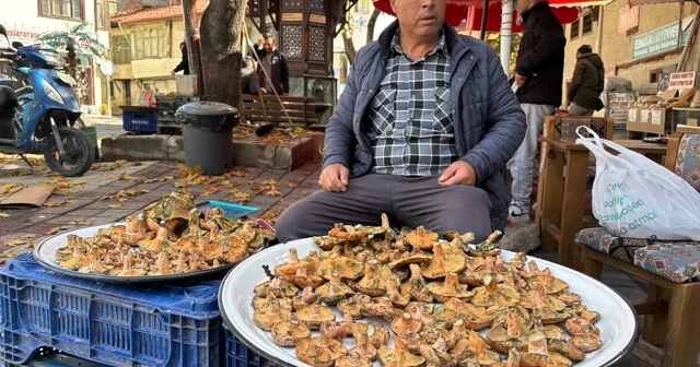 Tavşanlı da melki mantarı hareketliliği başladı Yüksek kesimlerden toplanarak satışa sunulan mantarın kilogram fiyatı 350 liradan alıcı buluyor Kütahya Son Dakika Haberleri Habertürk Yerel Haberler