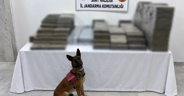 Siirt te kömür çuvallarının arasına gizlenmiş 10 bin 250 paket kaçak sigara ele geçirildi Siirt Haber Habertürk Yerel Haberler