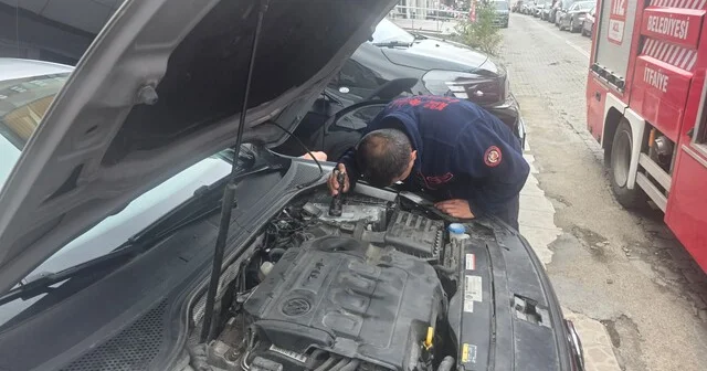 Otomobilin motor bölümüne giren yavru kedi 1 saatlik uğraşın ardından çıktı Zonguldak Son Dakika Haberleri Habertürk Yerel Haberler