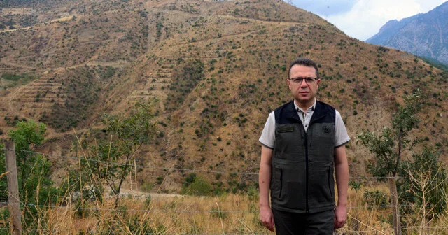 Şakalaşma sırasında atılan torpille yanan alan, 27 bin fidanla yeniden ağaçlandırıldı Kahramanmaraş Son Dakika Haberleri Habertürk Yerel Haberler