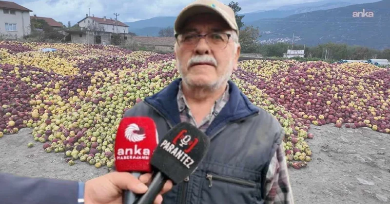 Tarlaya giren üretici ağlayarak çıktı: Tonlarca mahsul çürümeye bırakıldı Sözcü Gazetesi