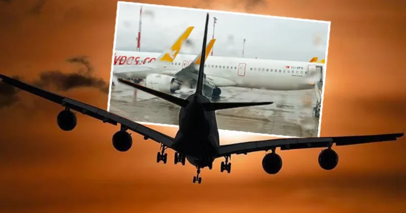 Pegasus uçağı kuş sürüsüne çarptı
