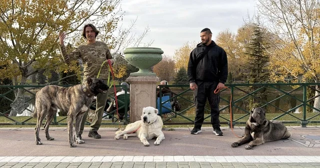 Türk çoban köpeklerini dünyaya tanıtıyor Eskişehir Haberleri