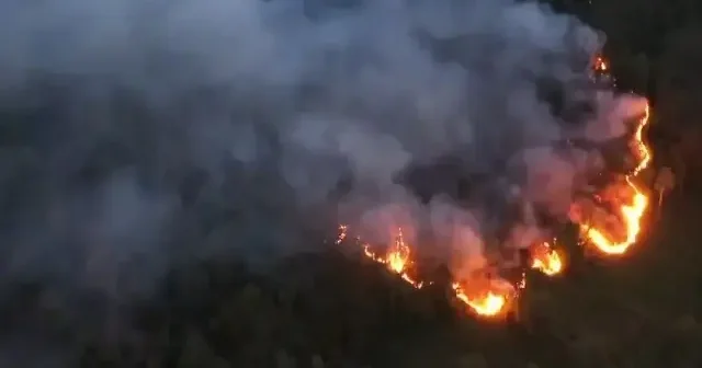 Hopa da örtü yangını: Müdahale ediliyor VİDEO İZLE