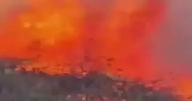 Artvin’de örtü yangını ormana yayıldı VİDEO İZLE