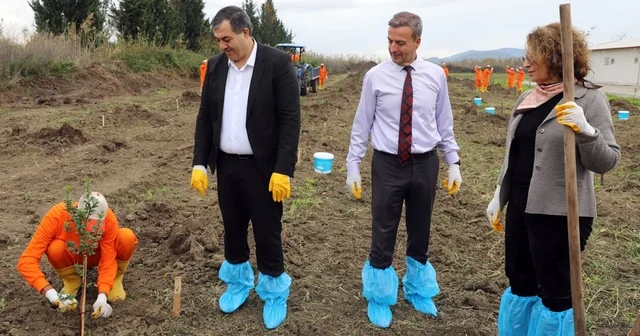 Dalaman Açık Ceza İnfaz Kurumunda 10 dekar alana Sakız ağacı fidanı dikildi Muğla Haberleri