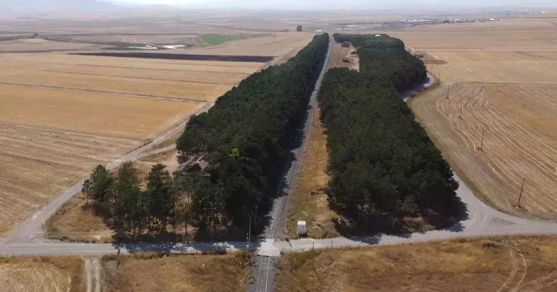 Kars’ta bozkırın ortasındaki vaha havadan görüntülendi