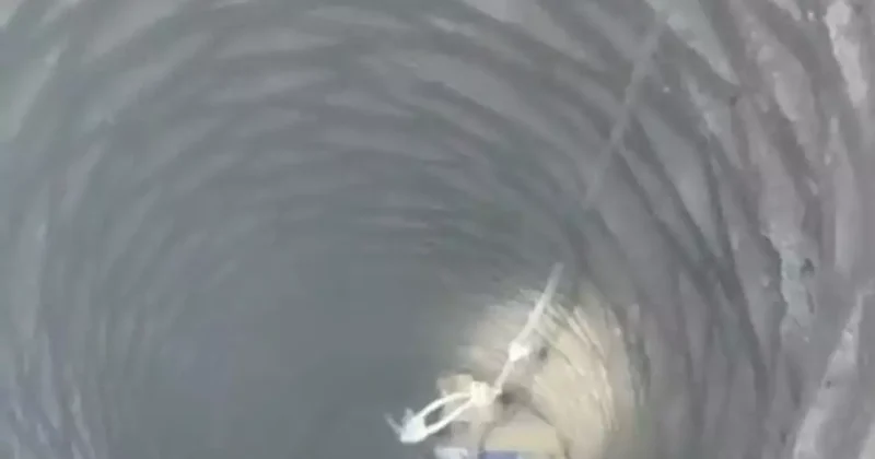 Batman itfaiyesi 20 metrelik kuyuya düşen horozu kurtardı