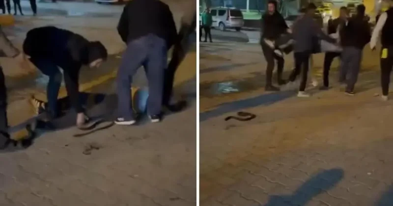 Taş, sopa ve bıçaklar kullanıldı! İki grup arasında kavga