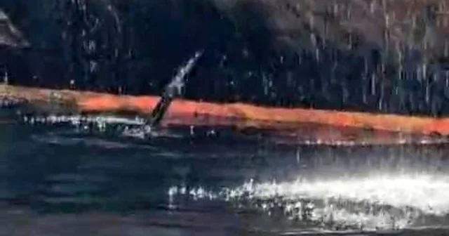 Vurulan tanker KAIROS ta sızıntı tespit edildi Kocaeli Haberleri