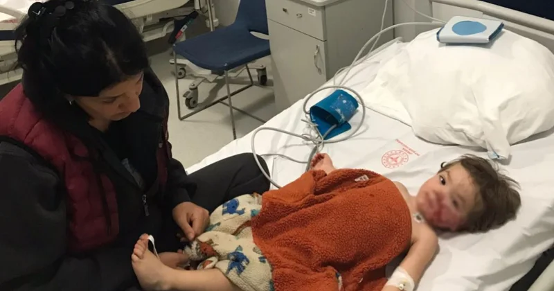 Ankara da pitbull 2 çocuğa saldırdı