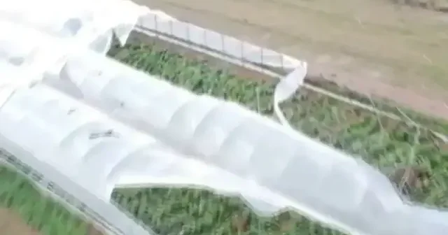 Manavgat ta hortum: 4 sera hasar gördü VİDEO İZLE