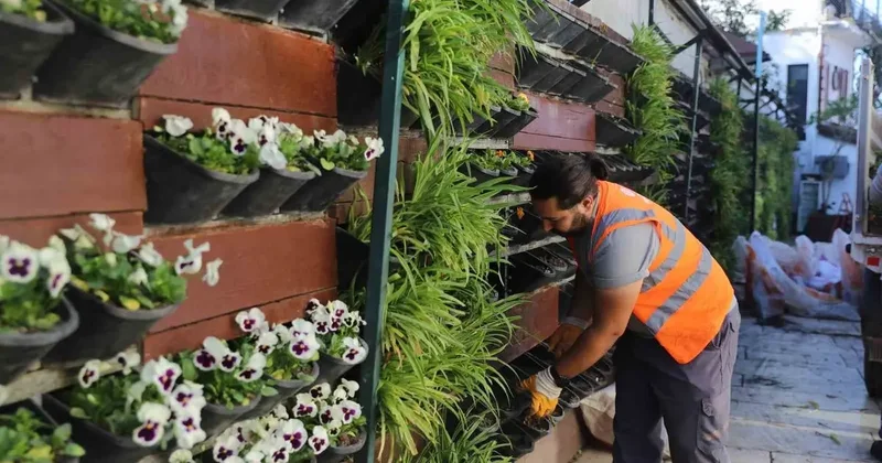 Antalya’da 4 milyon çiçek toprakla buluşuyor