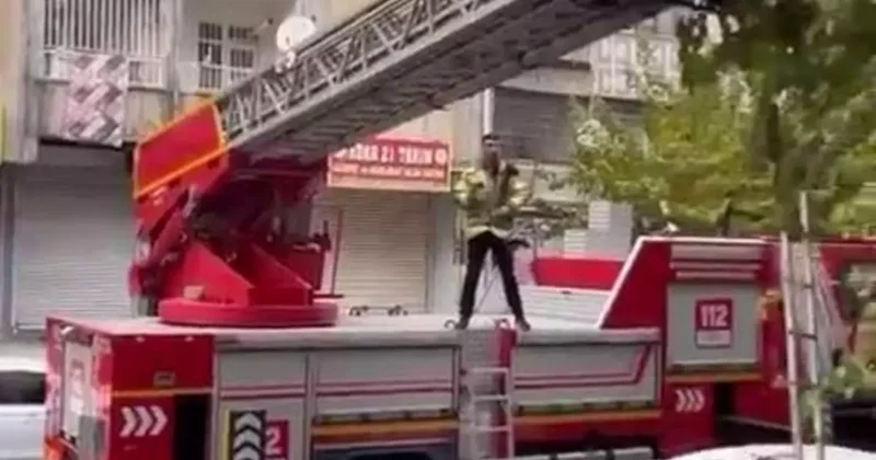 Ağaçta mahsur kalan kediyi kurtarmak için seferber oldular